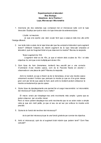 Questions-practica-01red.pdf