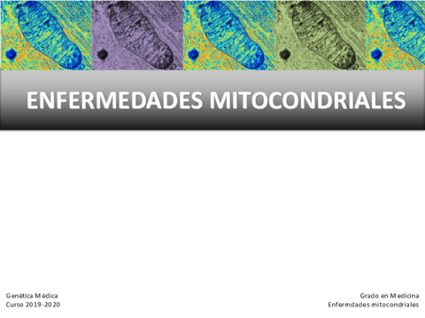 enfermedades-mitocondriales.pdf