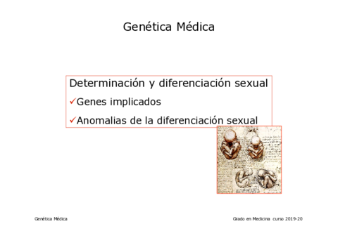 anomalias-diferenciacion-sexual.pdf