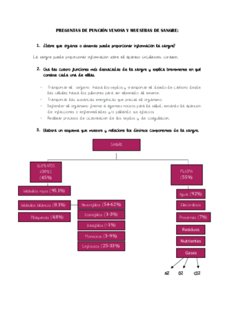 PUNCION VENOSA Y MUESTRAS DE SANGRE.pdf