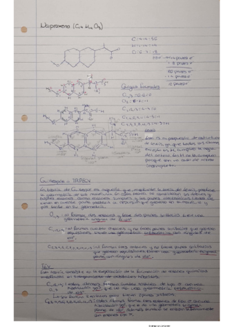 Moléculas (tipo exámen).pdf