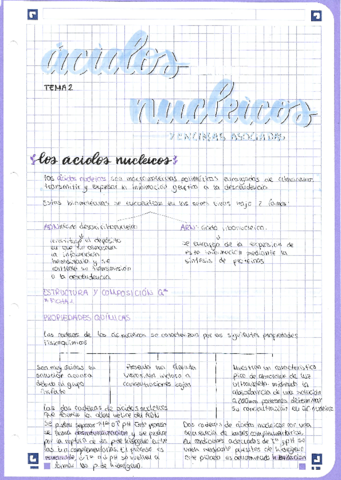 U2-Acidos-nucleicos-y-encimas-asociadas.pdf