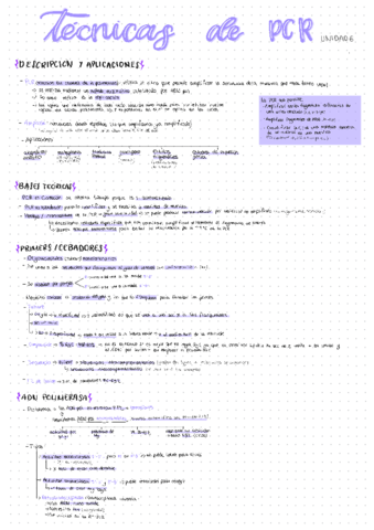 U6-Tecnicas-PCR.pdf