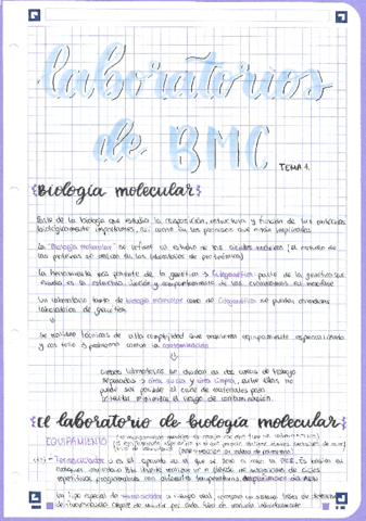 U1-Laboratorios-de-BMC.pdf