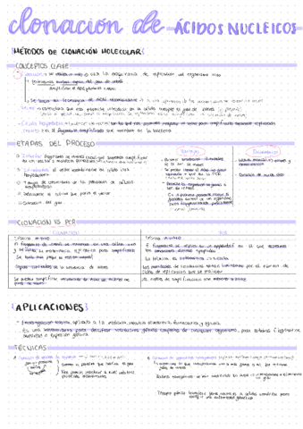 U7-Clonacion-de-acidos-nucleicos.pdf