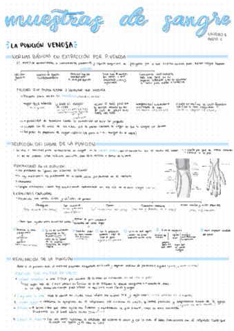 U6-Parte-2-Muestras-de-sangre.pdf