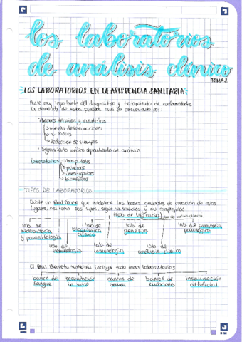 U2-Los-laboratorios-de-analisis-clinico.pdf