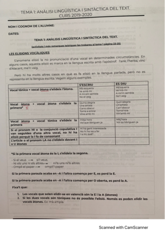 Analisis-linguistico.pdf