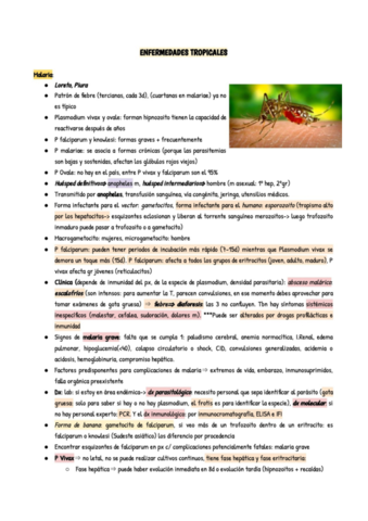 enfermedades-tropicales-apuntes.pdf