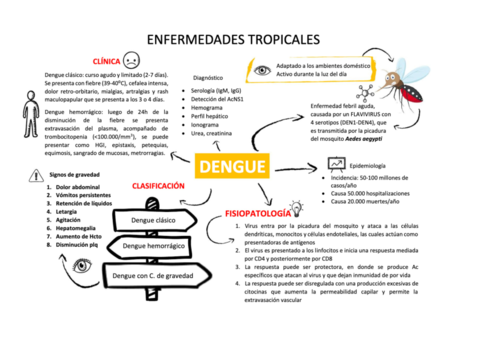 esquemas-graficos-tropicales.pdf