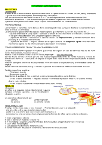 SOMATOSENSORIAL-HASTA-VISTA.pdf