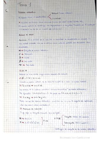 Tema-1-Matematicas.pdf