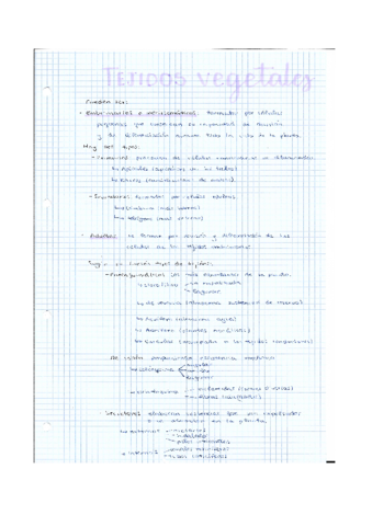 TEJIDOS.pdf