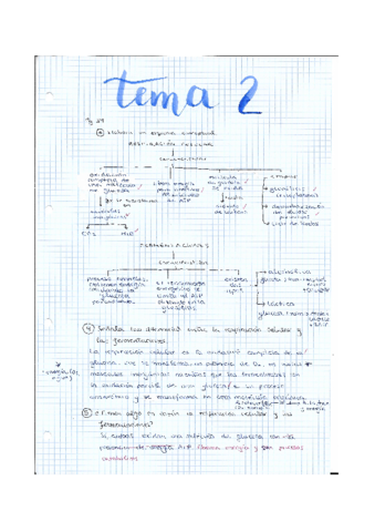 TEMA-2.pdf