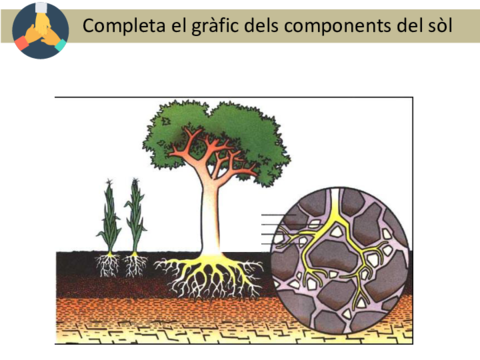 T4Components-minerals2020.pdf