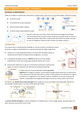 TEMA-3-FORMACION-DEL-CUERPO-Y-DESARROLLO.pdf