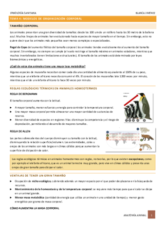 TEMA-4-MODELOS-DE-ORGANIZACION-CORPORAL.pdf