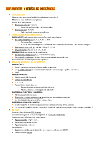 Tema-1-resumen.pdf