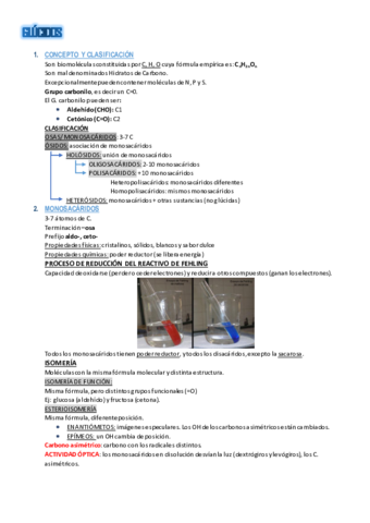 Resumen-T2.pdf
