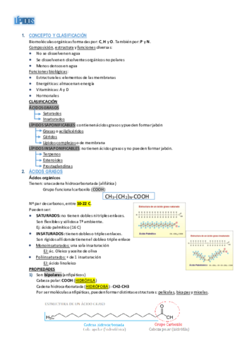 Resumen-T3.pdf