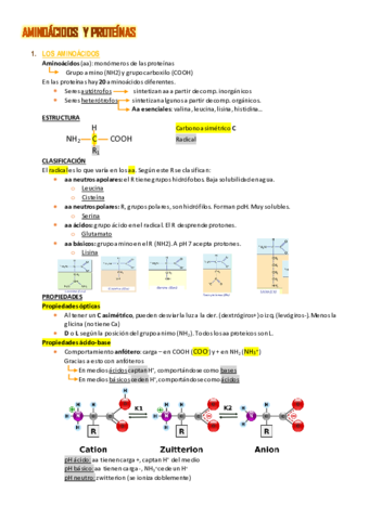 Resumen-T4.pdf