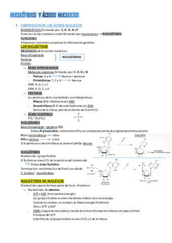 Resumen-T5.pdf