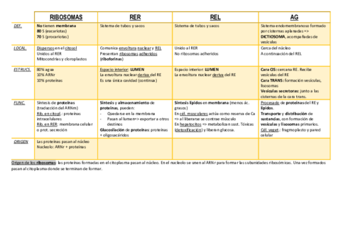 Tabla-organulos.pdf
