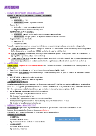 Resumen-Tema-12.pdf