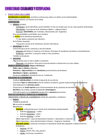 Resumen-tema-8-.pdf