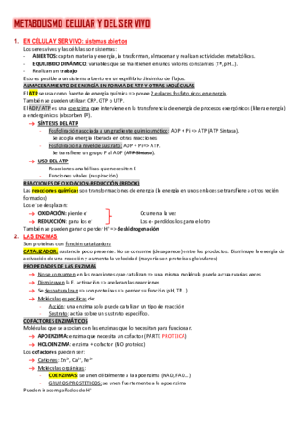 Resumen-Tema-10.pdf