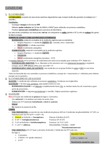 Resumen-Tema-11.pdf