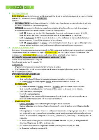 Tema-7.pdf