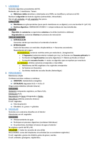 Organulos-teoria.pdf
