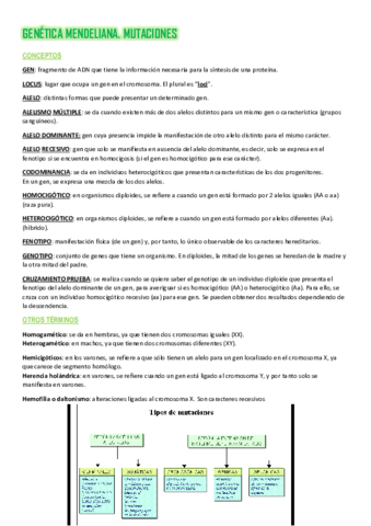Resumen-Tema-13-Genetica.pdf