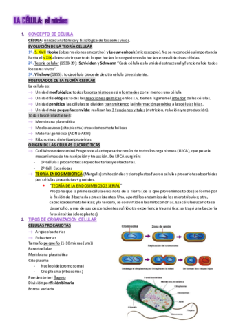 Tema-6.pdf