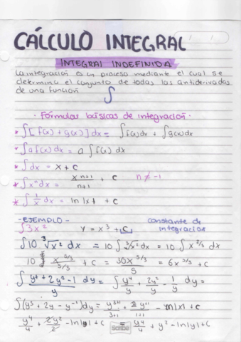 Calculo-integral-1.pdf