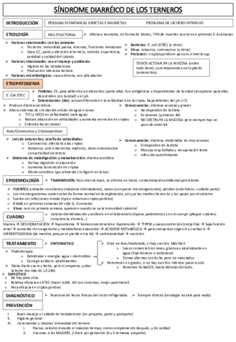 INFECCIOSAS-RUM-2-1.pdf