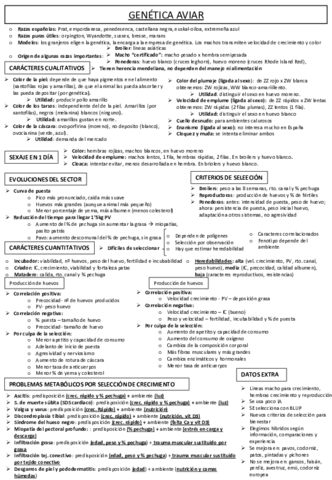 Pollos-resumenes-produccion-3.pdf