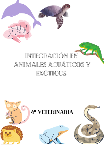 IAAEX-Exoticos-wuolah.pdf
