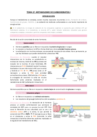 TEMA17.pdf