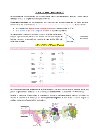 TEMA16.pdf