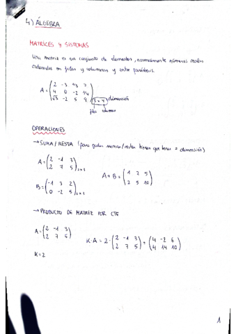 Algebraexercicismates1r.pdf