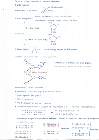 Tema-2.pdf