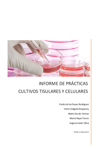 Informe de prácticas de Cultivos Tisulares y Celulares definitivo.pdf