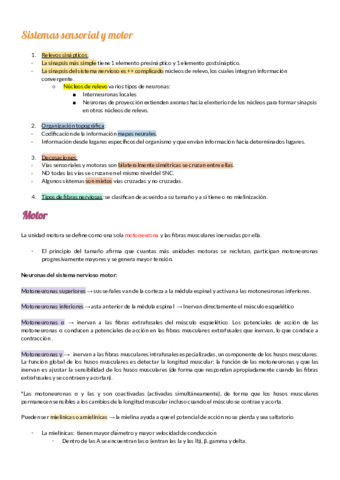 apuntes-fisio.pdf