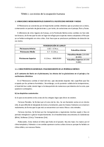 Tema-1-PI.pdf