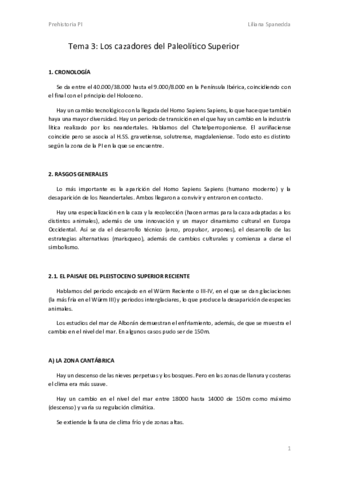 Tema-3-PI.pdf