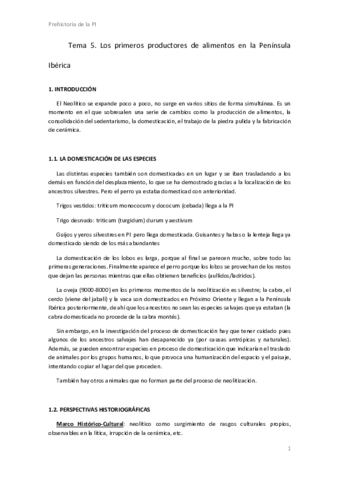 Tema-5-PI.pdf