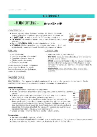 HISTOLOGIA-PARCIAL-1.pdf