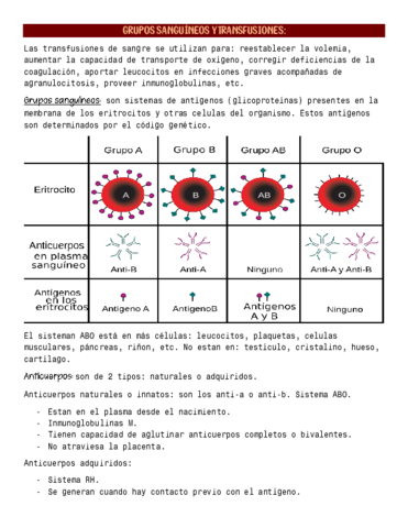 3.pdf